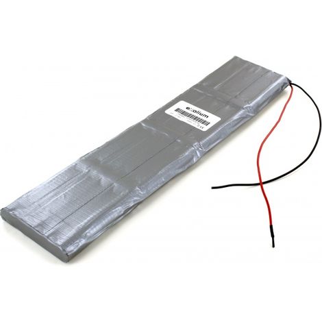 Batterie Ni-Mh 48V 2.1Ah pour Sécateur Electrocoup F3000 Petit Modèle Infaco (F3000PM)