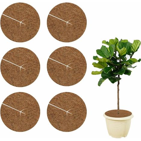 MINKUROW 6 Stück Kokos-Mulchscheibe 20 cm, Kokosmatte, Winterschutz Kokos-Mulchscheibe für Topfpflanzen