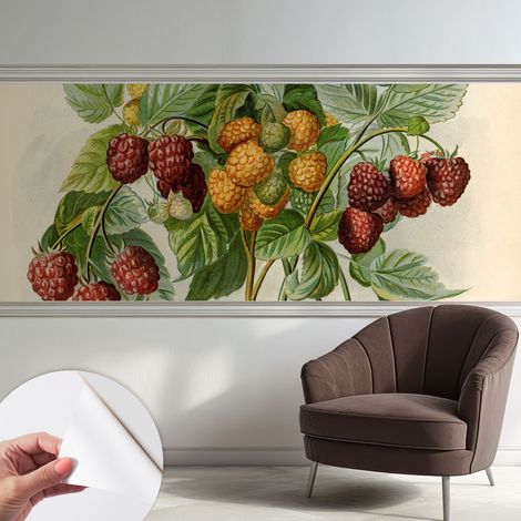 Fotomurale adesivo - Carta da parati adesiva - per la cucina camera da letto per la soggiorno - Lamponi classici 250x104 cm (1/5)