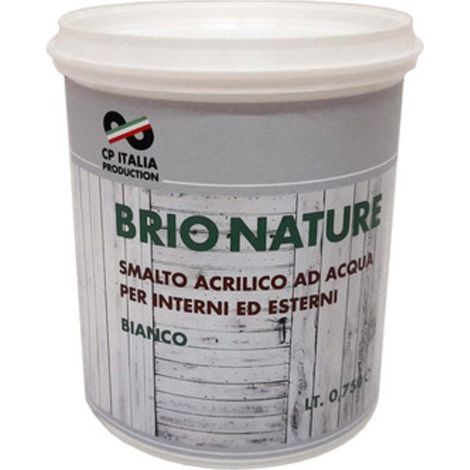 SMALTO ALLACQUA BRIONATURE TERMOSIFONI BIANCO 0,75
