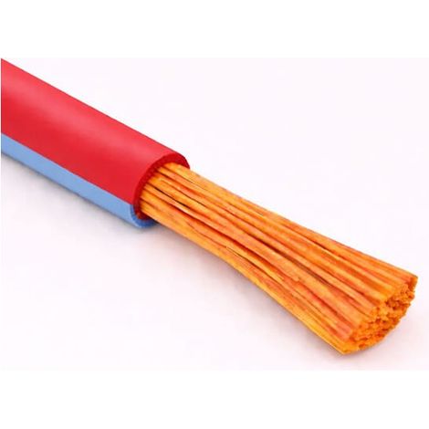 Cavo Filo Unipolare FLRY-B ISO 6722 Classe B Sez. 0,50 mmq Rosso/Azzurro