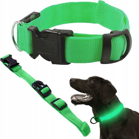 Collier d'éclairage led pour chiens et chats adjustable 59cm (1/5)