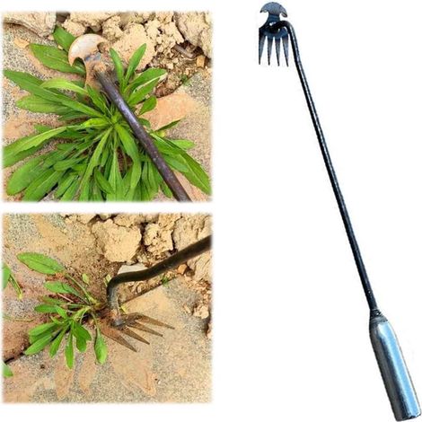 Ratissoir À Quatre Dents - En Acier Trempé - Pour Désherbage Et Aération Du Sol - Jardin Potager Ferme - 1 Pièce (1/5)