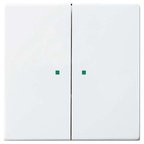 BUSCH-JAEGER 6220-0-0049 PRISE COUVRE