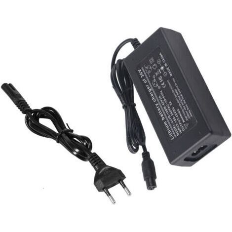 Adaptateur secteur batterie au Lithium chargeur sûr pour Scooter d'équilibre électrique avec (1/5)