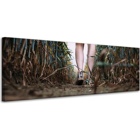 Leinwanddruck Natur Ein Spaziergang im Feld 120x40 cm
