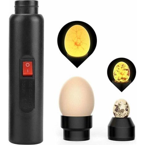 Lampe LED portable pour candling d’œufs – contrôle précis de l’incubation – compatible avec œufs de canard, de caille et de poule – 2 embouts interchangeables – coque robuste en ABS