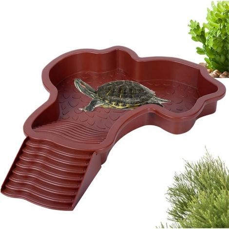 Mangiatoia per tartarughe terrestri, ciotola per l'acqua, vasca per tartarughe con rampa, ciotola per l'acqua per rettili con scaletta, vasca (1/5)