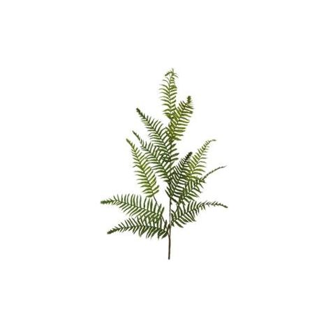 RAMO CON FOGLIE DI FELCE 38XH103CM (1/2)