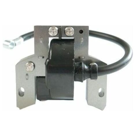 Bobine allumage Briggs et Stratton 591420 (1/4)