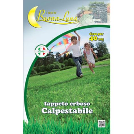 1PZ SEMI PRATO CALPESTABILE 1 KG (1/2)