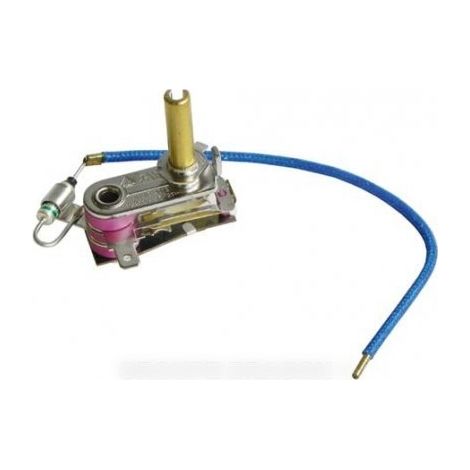 Thermostat avec fusible pour Centrale Vapeur ASTORIA 500583474
