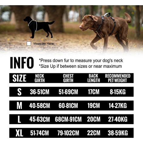 Harnais pour chien réglable et confortable, gilet anti-traction avec poignée robuste pour promenades quotidiennes et dressage, résistant et ergonomique (1/5)