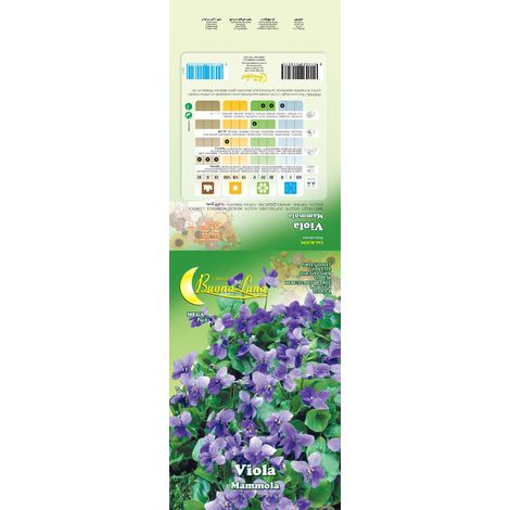 SEMI GARDEN VIOLA MAMMOLA Q.TA 10