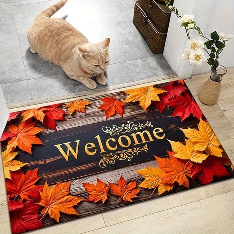 Floor mat for the home, wear and dirt resistant, outdoor doormat, floor decoration, entrance mat for the door - 40x60cm [Crystal velvet, plastic backing]