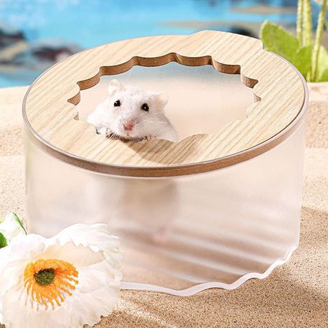 Small Animal Bathroom & Digging Room, Easy to Clean, for Dwarf & Syrian Hamster, Gerbil (1/5)