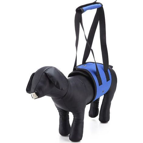 Hundetragegurt für Hinterbeine hilft älteren Hunden mit eingeschränkter Beweglichkeit, Hundehebegeschirr zur Unterstützung des Hundes, Hundelift bei Arthritis, S (1/5)