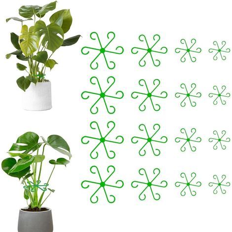 CCYKXA 16 Pcs Climbing Plant Clips, Hanging Plant Stem Supports, Indoor Plant Support Clips, Fixing Hooks (1/5)