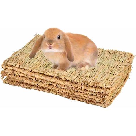 Tapis pour lapins, tapis en herbe naturelle tissé à la main, jouet à mâcher pour petits animaux (hamster, cochon, lapin et perroquet) - 4 pièces (1/5)