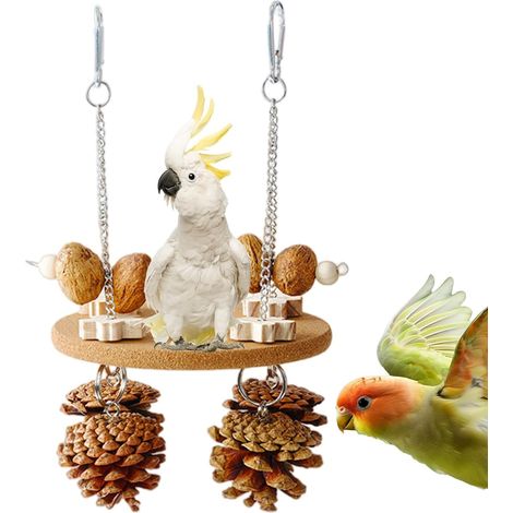 pour Oiseaux Forage Naturel interactif interactifs accessoires pour oiseaux Pour l'enrichissement des perruches, inséparables, canaris (1/5)