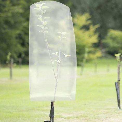 Couverture végétale contre le gel - couverture végétale universelle de protection contre le gel, couverture d'arbustes transparente - pour la protection contre le gel hivernal (1/4)