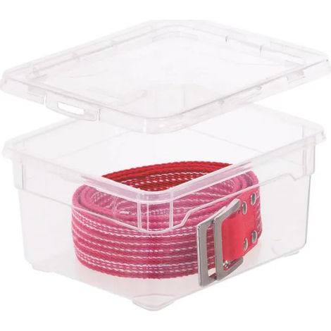 Scatola portaoggetti Rotho clear 2L con coperchio impilabile