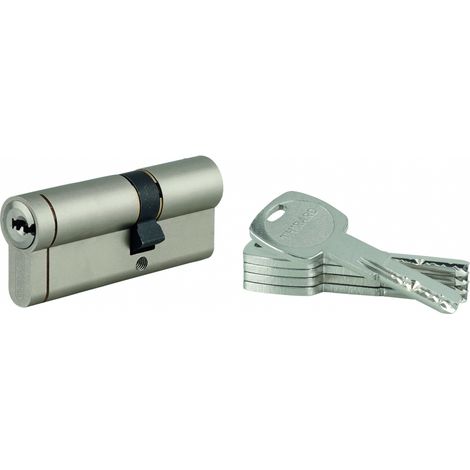 Cilindro europeo Transit 1, 30 x 50 mm, nichelato, 5 chiavi lunghe – THIRARD