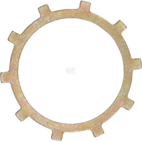 Wellensicherg.Ring 1.0 BDR302 HYDROGEAR 50650HYD