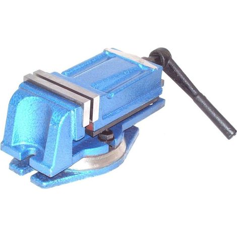 Präzisions Schraubstock Maschinenschraubstock 55541 drehbar 100mm Q121 (1/5)