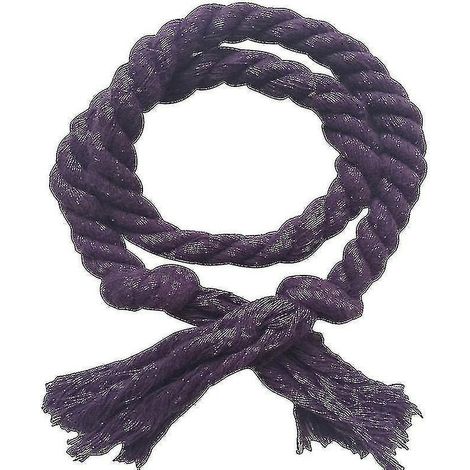 Lot de 2 embrasses de rideaux en corde de coton et lin tissée, couleur unie, pour décoration intérieure JikaixPurple (1/5)
