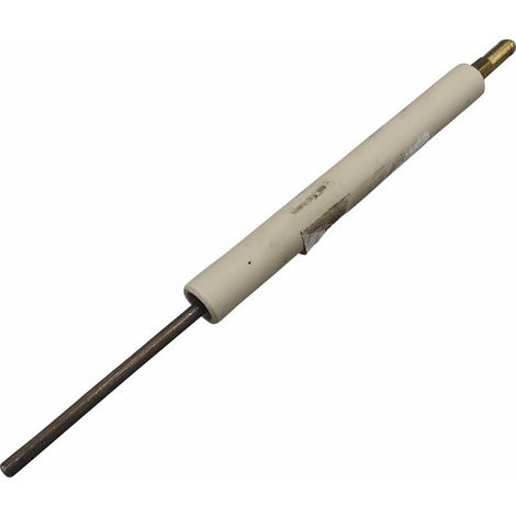 Electrode - CHAPPEE : S3007988