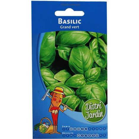 Sachet De Graines Basilic Grand Vert
