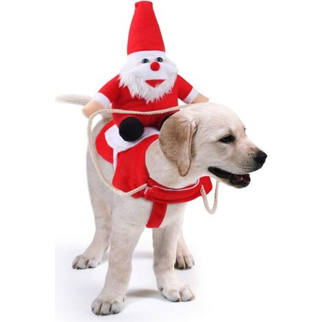 Déguisement de lutin de Noël pour chien et chat, pull tricoté, pull renne de Noël, manteau rouge pour animaux de compagnie (1/5)