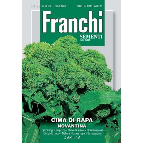 SEMI CIMA DI RAPA NOVANTINA 41/5 (1/2)