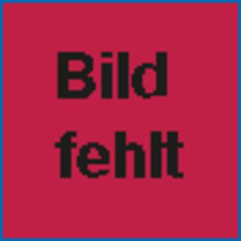 BEVER Einsteckschloss 242 B TGL BB72/8 D55, F18x220rd, Si, DR