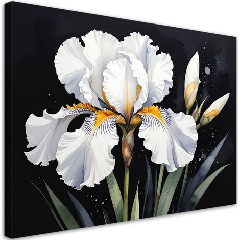 Cuadro sobre Lienzo Iris blanco sobre fondo negro 30x20 (1/5)
