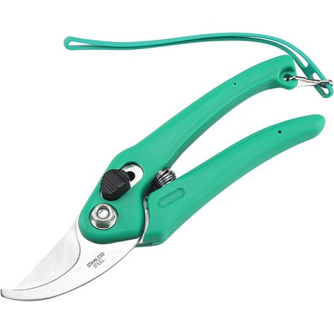 Cisaille de taille en acier inoxydable pour couper les rameaux – Outil de jardinage