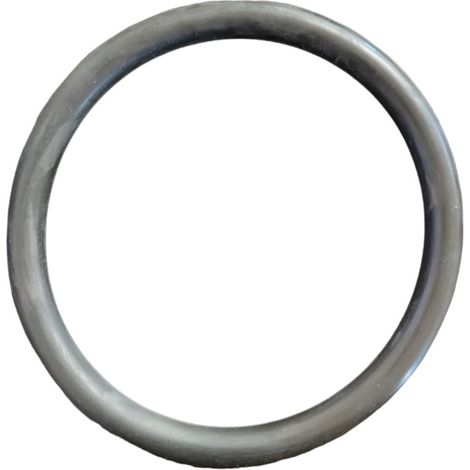 Joint de rechange pour projecteur à ampoule STD - Astralpool