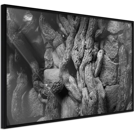 Affiche Murale Encadrée "Strong Roots" 60 x 40 cm Noir