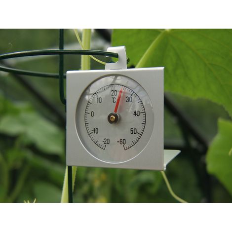 Vitavia Thermometer zum Messen der Innentemperatur (1/3)