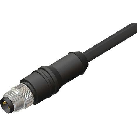 Cordon CBM 3 conducteurs , M8 Mâle, 5m ( Prix pour 1 )