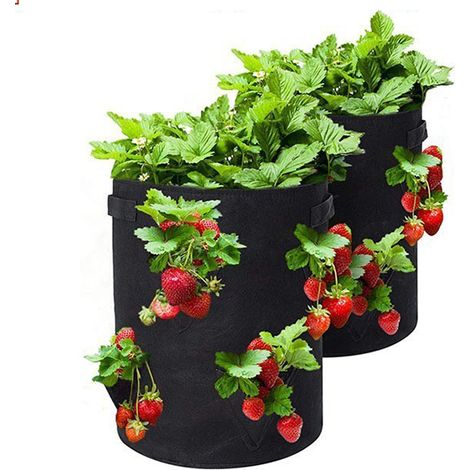 Sac de plantation 4035 cm, 2 pièces, sac de semis en feutre de 5 gallons, seau de plantation, facile à transplanter, plantation agricole (1/5)