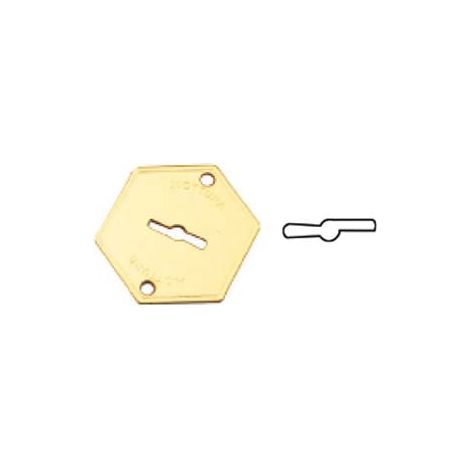 MOSTRINA ESTERNA IN OTTONE 95215  mm.52x64 (95215000C1)    MOTTURA