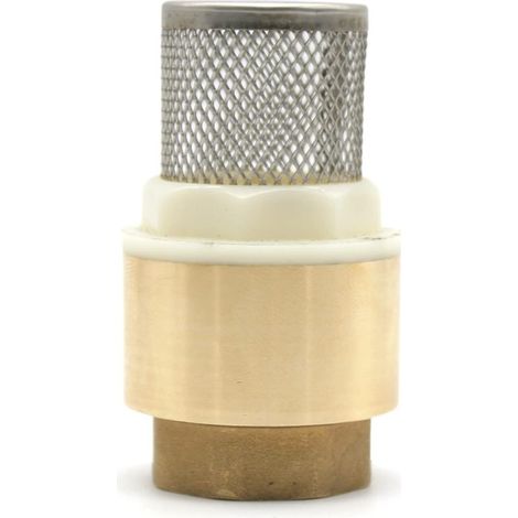 Clapet Anti Retour Clapet Anti Retour avec Crepine Filetage Interne 3/4" Laiton Clapet Pied pour Pompe a Eau, Tuyau Arrosage, Recuperateur d Eau de Pluie, Robinet de Jardin (1/5)