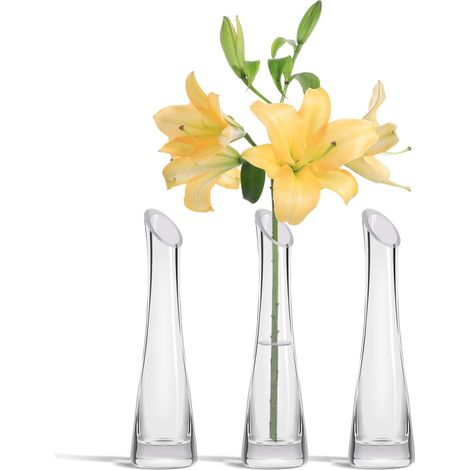 Lot de 3 Vase, verre haute qualité, forme élancée, base épaisse, ouverture ovale, décoration intérieur (1/5)