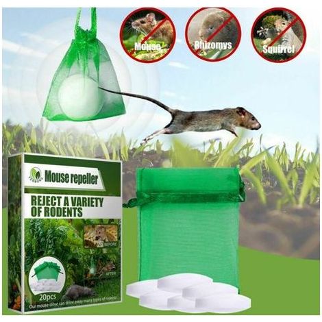 Répulsif contre les rongeurs à l'huile de menthe poivrée pour les rats de et la lutte antiparasitaire des rats (boîte de 2, 40 pièces) (1/5)