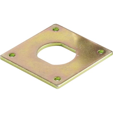 SISO Spindschloss 300 Verdreh-Schutzplatte, 40x40x2mm, Stahl verzinkt