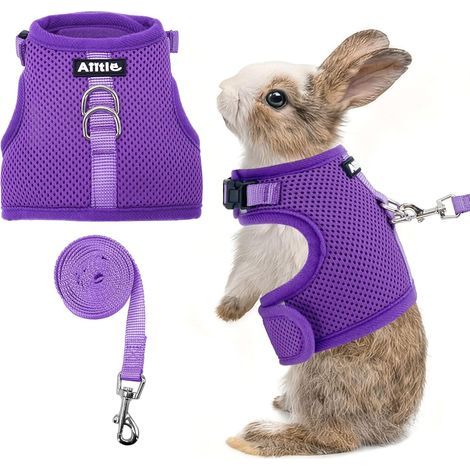 Ensemble harnais et laisse respirants, sangles réglables et design de bande magique, gilet confortable pour chiots, chats, écureuils, rats, lapins, furets, promenades en plein air, violet (1/5)