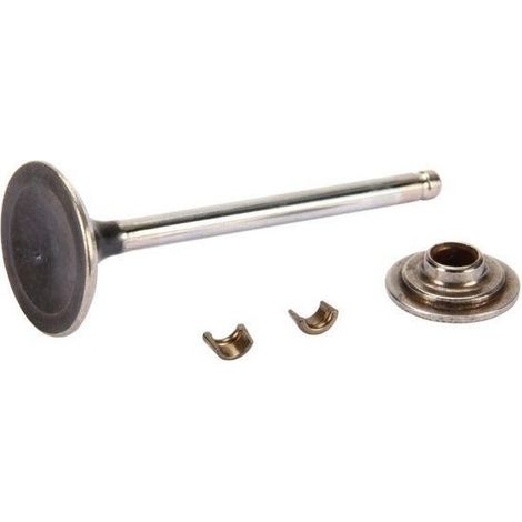 84012919 - Soupape Echappement pour moteur BRIGGS et STRATTON