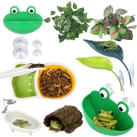 Kit Complet Habitat pour Rainette, Grotte Abri, Coupelle d'Eau, Gamelle et Plante Grimpante, Décoration pour Amphibien et Terrarium (1/5)